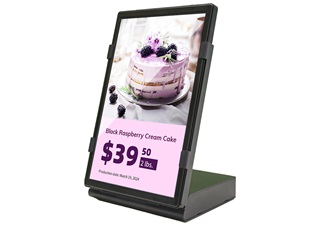 GE-LCD-PM1017-10c-2.jpg